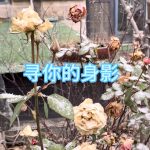 4：寻你的身影