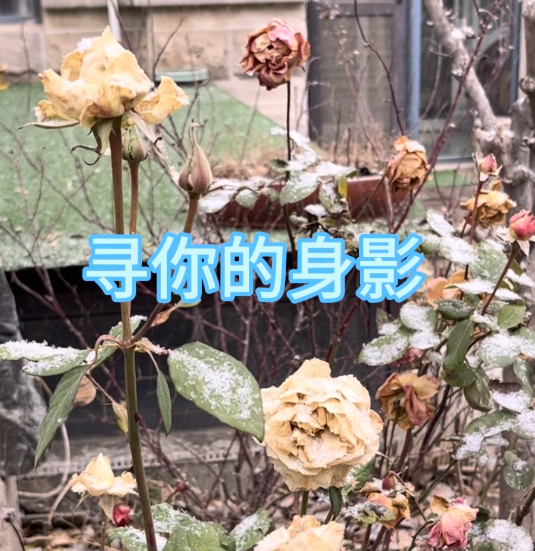 4：寻你的身影
